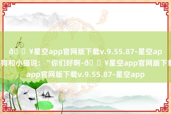 🔥星空app官网版下载v.9.55.87-星空app狐狸假装友好地对小狗和小猫说：“你们好啊-🔥星空app官网版下载v.9.55.87-星空app