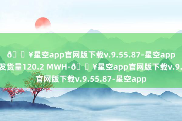 🔥星空app官网版下载v.9.55.87-星空app二季度总体电板发货量120.2 MWH-🔥星空app官网版下载v.9.55.87-星空app